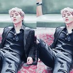 [EXO] 견이보고 이짤보니