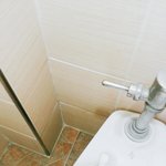 [조언부탁해] 나 자퇴하러 왔는데 쉬는시간이라서 급하게 화장실들어옴...