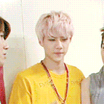 [EXO] <b>개나리</b> 노오란 꽃그늘아래 가지런히 놓여있는