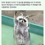 [드루와] 시험때 ㄹㅇ 얘 때문에 암 걸려;;;