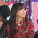 [에이핑크] 이글은 성지글이 될꺼야