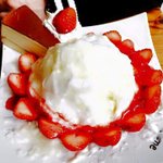 [EXO] 개맛있을듯