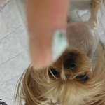 마스크팩추천받아서 구매했는데 <b>요</b><b>정도</b>면 만족~