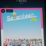 [세븐틴] 혹시 앨범 받은<b>캐럿</b>중에