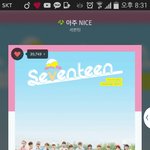 [세븐틴] ㅅㄷ 내친구 진짜 짜증나