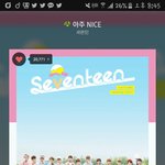 [세븐틴] ㅅㄷ 찬이 별명