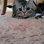 [B1A4] Oh <b>Boy</b>