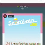 [세븐틴] ㅅㄷ 애들한테 아주나이스 들려주고 <b>혼남</b>ㅋㅋ