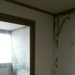 [개깊은빡침] 사기꾼같은 집주인