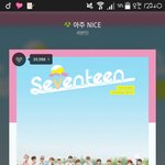 [세븐틴] ㅅㄷ? 노래중간중간에