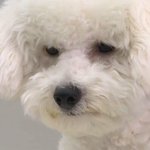 [EXO] 그래항상이래놓고반응은