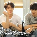 [EXO] 오세훈 <b>이쯤</b>되면 맹수조련사급이다