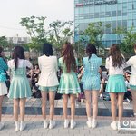 소나무 현실적인 다리라인