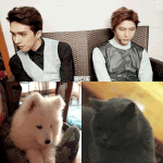 [VIXX] ㅅㄷ)어른되면 개,고양이 한마리씩 키울껀데