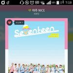[세븐틴] ㅂㅅㄷ)이런 홈마 있으면 좋겠음