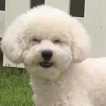 내 친구 진짜 싫어..