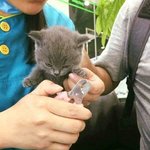 [BAP] 영재 고양이도 닮았어