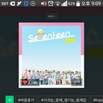 [세븐틴] 미스한국 찍으러간 홈마들...