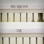 [댓글부탁해] 얘들아 내가 어떻게 해야할까~~~??~~~~