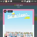 [세븐틴] ㅂㅅㄷ ) 홈마들 팔로 다 끊은사람?