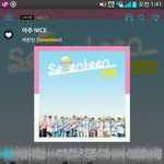 [세븐틴] 통편집 안당한것만으로 다행인건가......