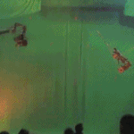 [EXO] 루한 도묘필기 <b>액션</b>씬 찍는장면임