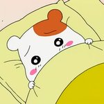 <b>허언</b>증친구