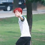 [방탄소년단] 박지민은 <b>사랑</b> 고화질은 <b>사랑사랑</b> 내<b>사랑</b>