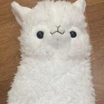 어떤 <b>필통</b>이 더예뻐