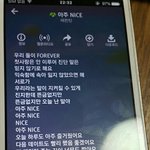 [세븐틴] ㅅㄷ 갑자기 생각났는데
