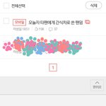 [비스트] 얘들아 뷰티<b>얌</b>