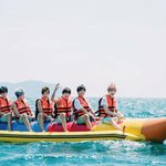 [방탄소년단] 우리애들진짜신기한게