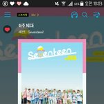 [세븐틴] ㅅㄷ? 오늘 복1가에