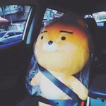 [<b>B1A4</b>] 이런 곳에 이런 글 올려서 정말 죄송한데요ㅠㅠ!