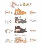 [방탄소년단] 방탄<b>농장</b>ㅠㅠ