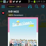 [세븐틴] <b>찬반</b> 투표 좀 하자