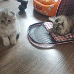 [댓글부탁해] 힘들고 답답해서 적어봅니다.