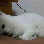 [드루와] 나 진짜 못된 거 아는데... 뭔가..