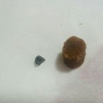 수제<b>사료</b>에서 이물질과 곰팡이 발견