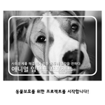 [도와주세요] 동물보호법 개정을 위해 함께해주세요!!