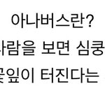 [세븐틴] 아주<b>nice</b> 뮤비컨셉말이야