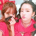 [에이핑크] 입덕한지얼마안됬는뎅