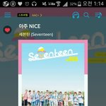 [세븐틴] ㅅㄷ 얘들아 너넨 사진