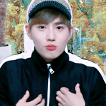 [<b>수호</b>] 면<b>팬</b>들아 콘서트 몇구역가??
