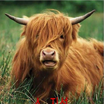 [백현] ↓응 니 <b>면상</b>