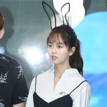 토끼머리띠쓰고 미모<b>열일</b>