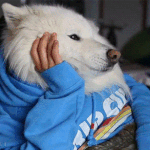<b>나이</b>먹고 하루하루가 힘든게 <b>저</b>만 그런가요