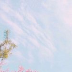 밤을 걷는 <b>선비</b> 재밌어??