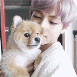 [<b>방탄소년단</b>] 정체모를<b>BTS</b>