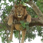 [댓글부탁해] 전염성 <b>눈병</b> 걸려본 사람있니